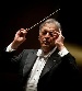 IN HONOR OF THE HONORARY MEMBER OF THE RUSSIAN ACADEMY OF ARTS ZUBIN MEHTA